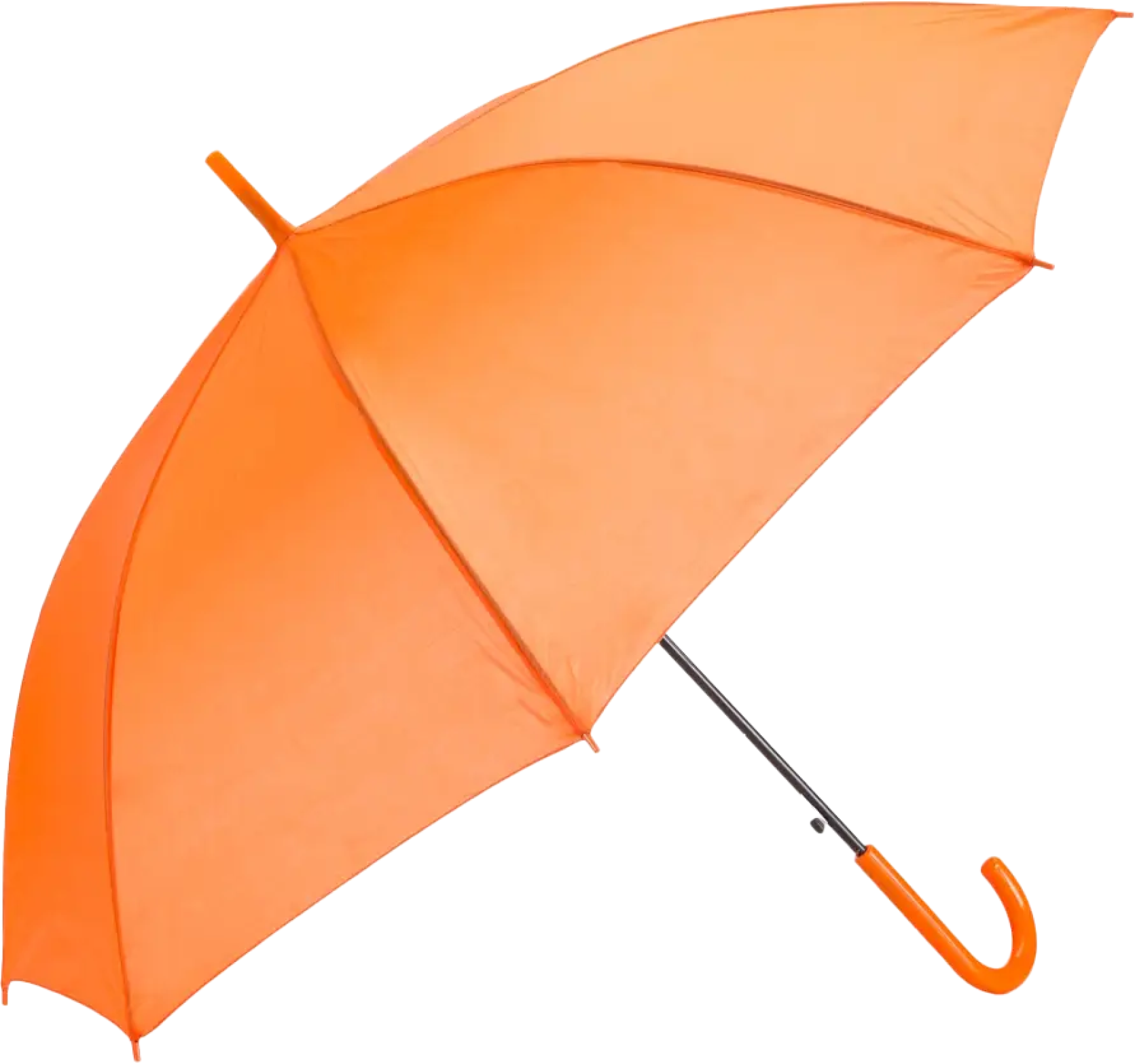 guarda chuva